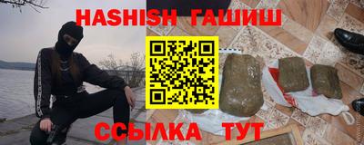 дмт Кингисепп