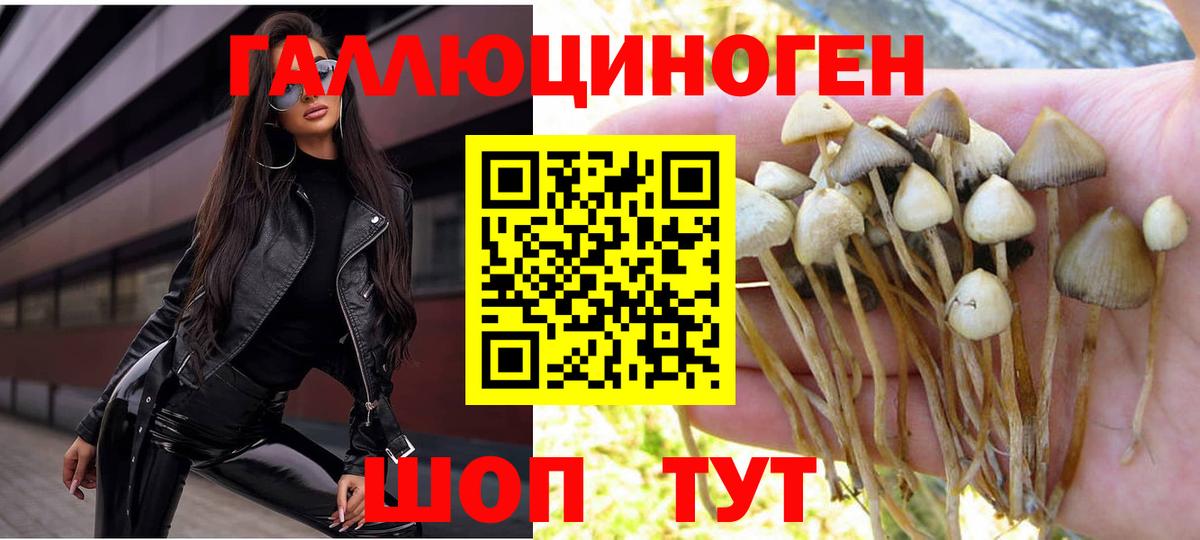 А ПВП СОЛЬ   АМФЕТАМИН кристаллы  Чита  Cocaine  НБОМе  Конопля  ГАШИШ  Меф МЯУ МЯУ   МЕТ  Вход с VPN 