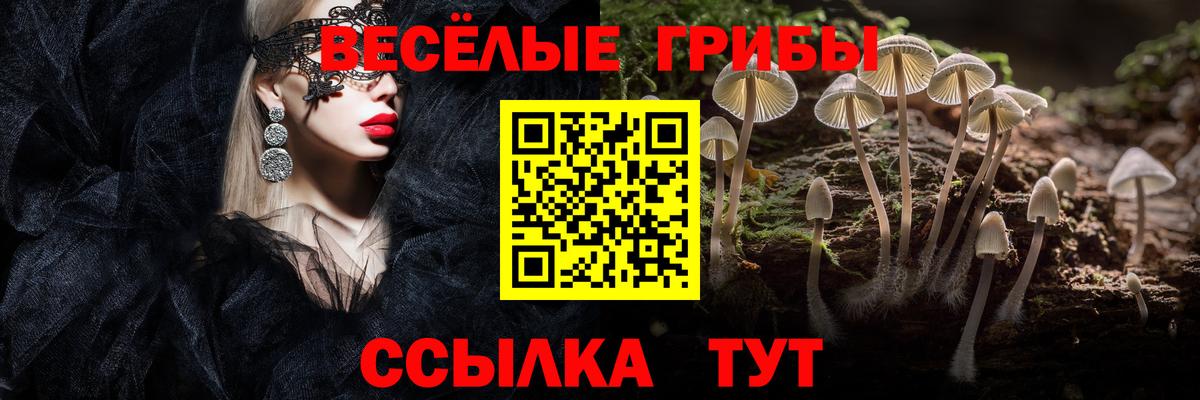Галлюциногенные грибы Cubensis  Псилоцибиновые грибы мицелий  Чита  Вход с VPN 